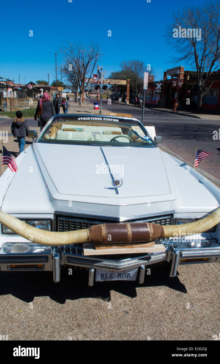 ft-worth-texas-main-street-cadillac-with-longhorns-on-grill-for-tourists-E202GJ.jpg
