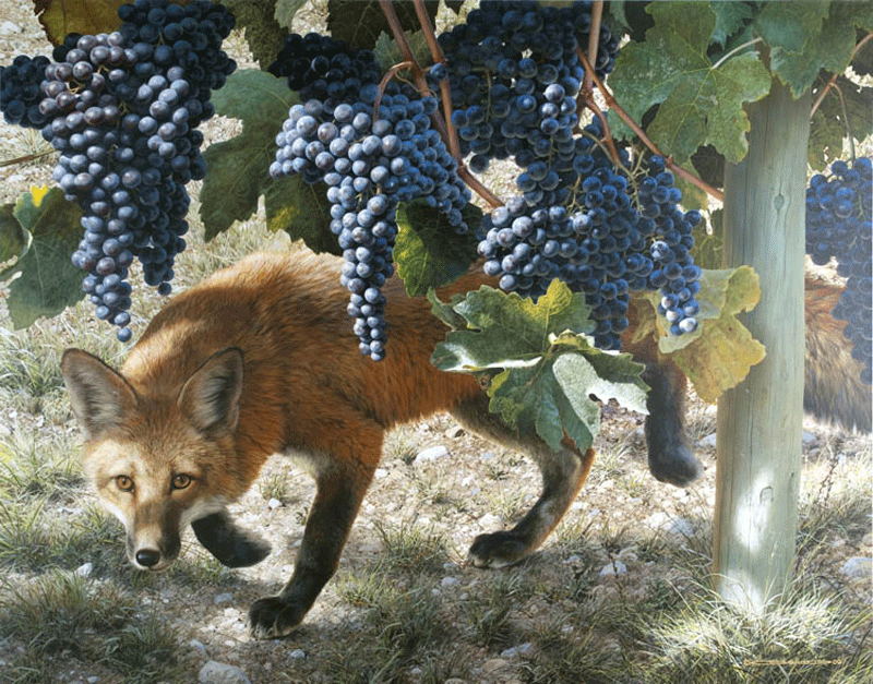 the-fox-and-the-grapes.gif