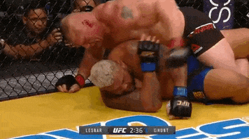 Brock Lesnar Mma GIF by UFC